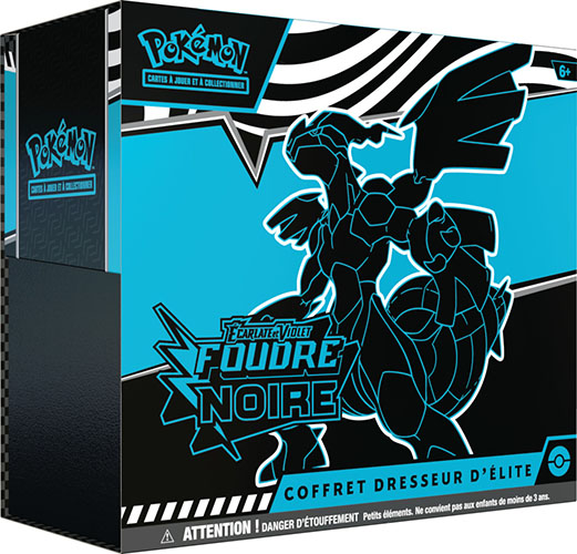Elite Trainer Box alternative EV10.5 Foudre Noire & Flamme Blanche