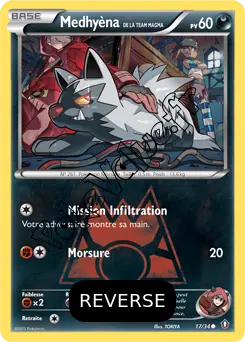 Carte Pokémon Team Magma's Poochyena  Reverse n°17 de la série Double Danger