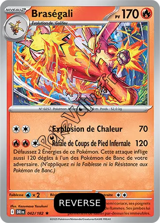 Carte Pokémon Braségali  Reverse n°042 de la série Rivalités Destinées