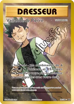 Carte Pokémon Vaillance de Pierre n°107 de la série Évolutions