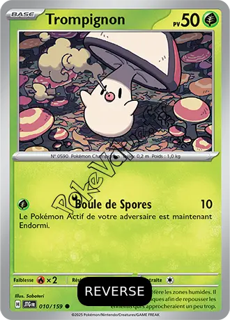 Carte Pokémon Trompignon  Reverse n°010 de la série Aventures Ensemble