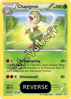 Carte Pokémon Breloom  Reverse n°16 de la série Primo Choc