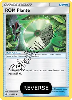 Carte Pokémon ROM Plante Reverse n°143 de la série Duo de Choc