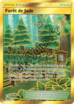 Carte Pokémon Forêt de Jade n°256 de la série Harmonie des Esprits