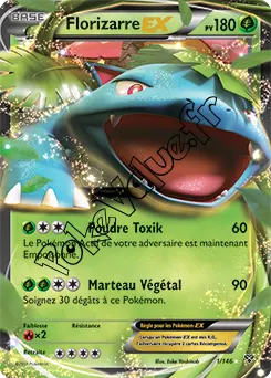 Carte Pokémon Grigri Protecteur n°119 de la série XY